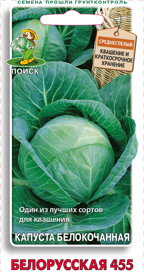 Капуста белокочанная белорусская 455 описание сорта фото