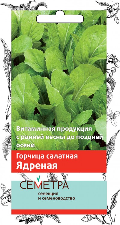 Лафа Интернет Магазин Растений Каталог