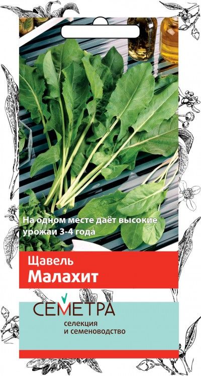 Купить Семена Щавеля В Интернет Магазине