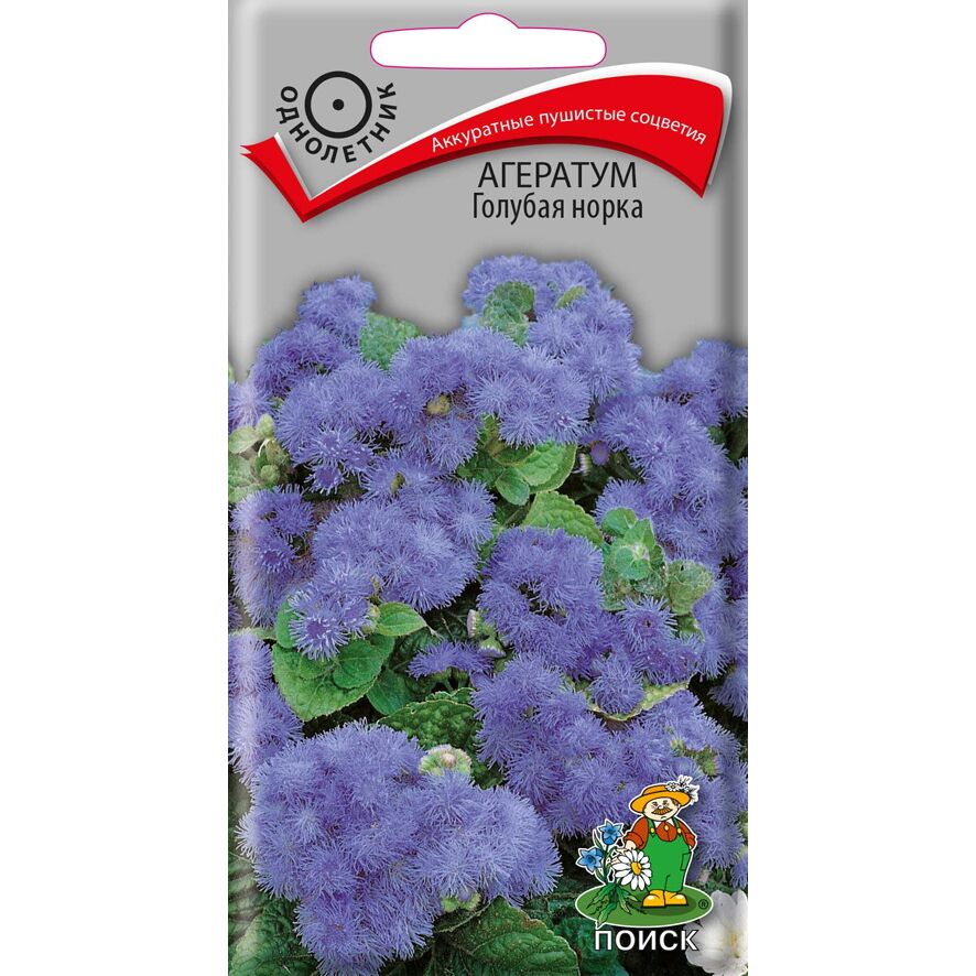 купить семена агератума