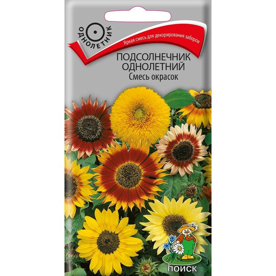 Подсолнечник Декоративный Семена Купить